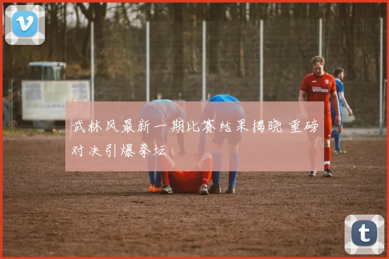 武林风最新一期比赛结果揭晓 重磅对决引爆拳坛